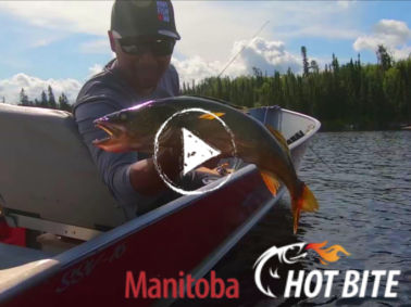 Hot Bite Manitoba summer fishing video